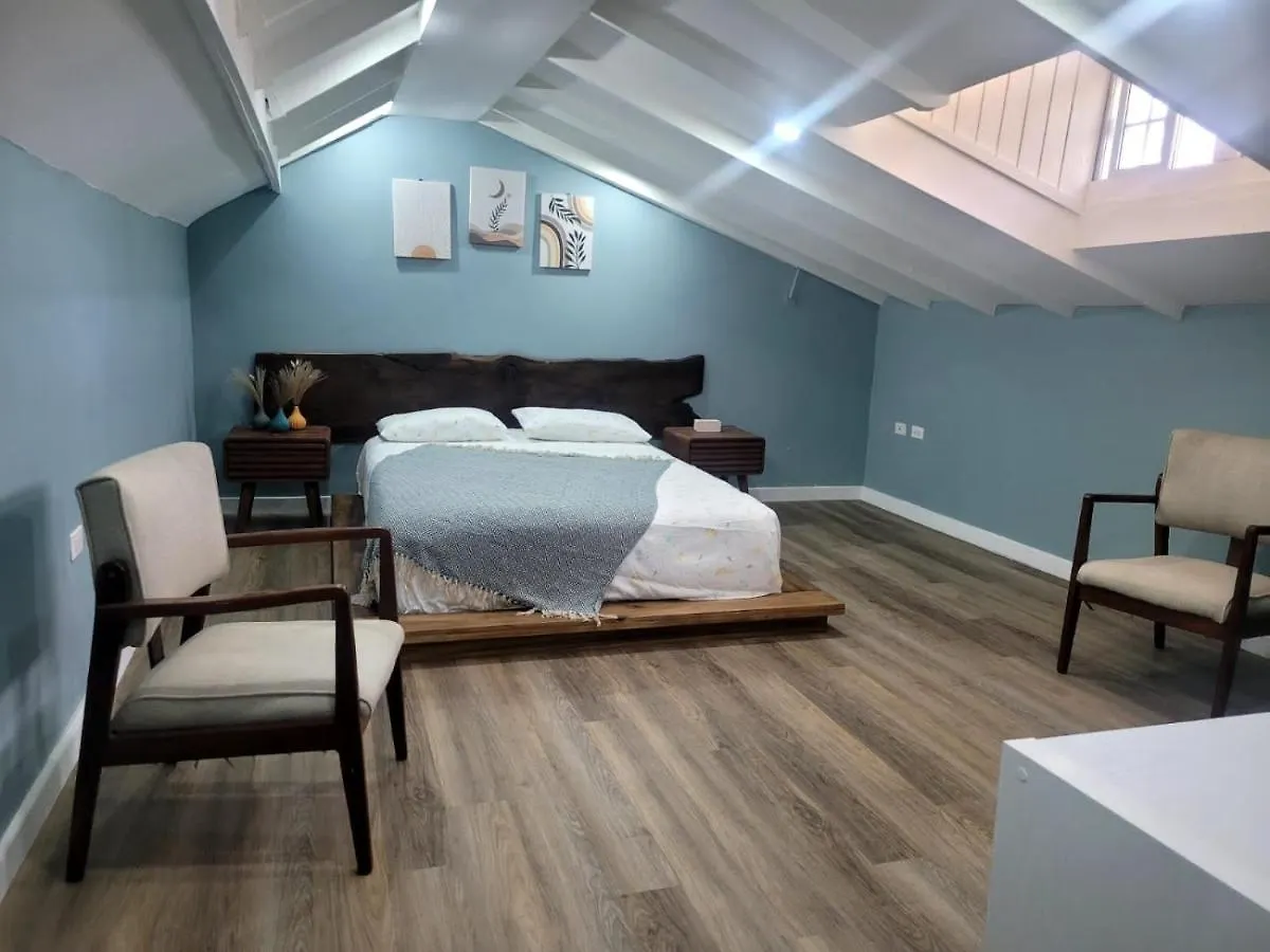 Carter'S Nest Villa Kingston Jamaica